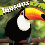 Toucans