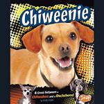 Chiweenie