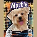 Morkie