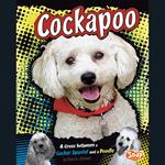 Cockapoo