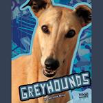 Greyhounds