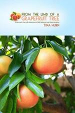 From the Limb of a Grapefruit Tree: A Woman's True-Life Adventure of Self-Reliance and Determination