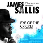 Eye of the Cricket