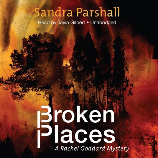 Broken Places