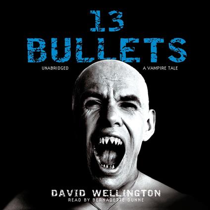 13 Bullets