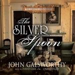 The Silver Spoon