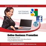 Online Business Promotion