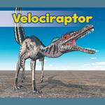 Velociraptor