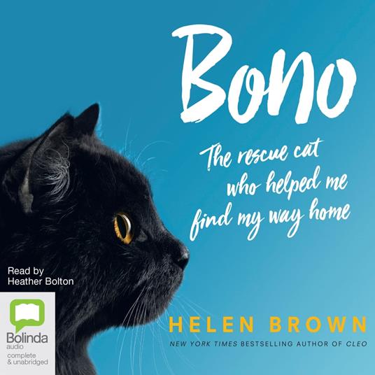 Bono: The Rescue Cat Who Helped Me Find My Way Home