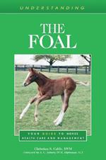 Understanding the Foal: Your Guide to Horse Health Care and Management