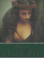 Bride of the Dark Elf - In the Arms of the Dark Elf #3 (a paranormal romance)