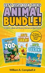 Let's Visit Book Series Animal Bundle