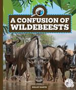 A Confusion of Wildebeests