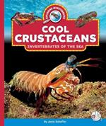 Cool Crustaceans: Invertebrates of the Sea