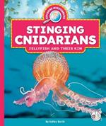 Stinging Cnidarians: Jellyfish and Their Kin