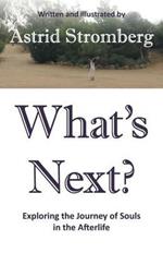 What's Next?: Exploring the Journey of Souls in the Afterlife