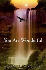 You are Wonderful: A devotional insight into the Names and descriptions of God and Jesus in the Bible