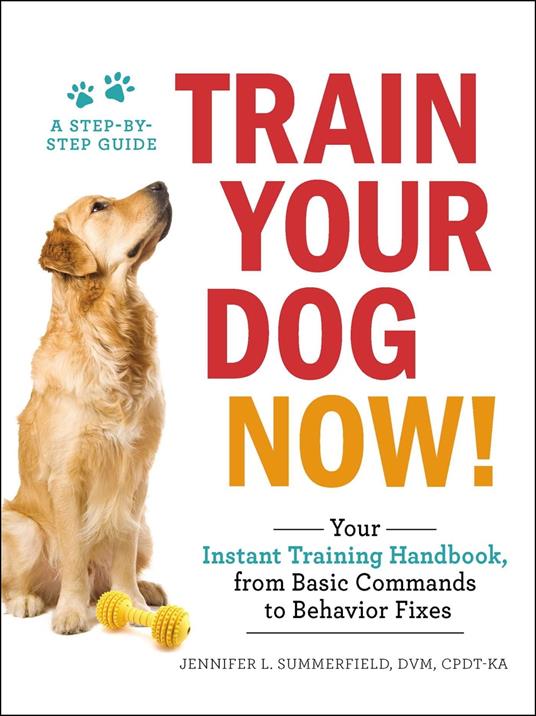 Train Your Dog Now!