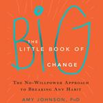 Little Book of Big Change, The