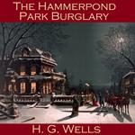 Hammerpond Park Burglary, The