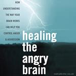 Healing the Angry Brain