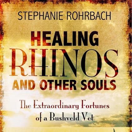 Healing Rhinos and Other Souls