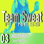 Cardio Punch