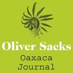 Oaxaca Journal