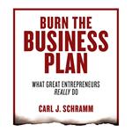 Burn the Business Plan