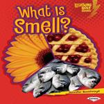 What Is Smell?