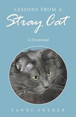 Lessons from a Stray Cat: A Devotional