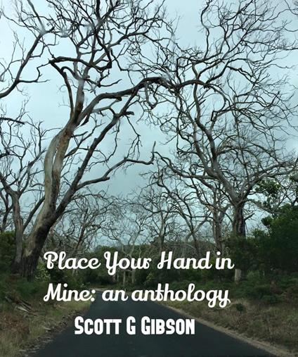 Place Your Hand in Mine - Scott G. Gibson - ebook