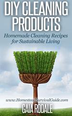 DIY Cleaning Products: Homemade Cleaning Recipes for Sustainable Living