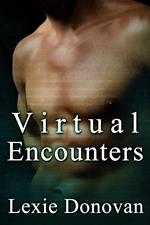 Virtual Encounters