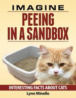 Imagine Peeing in a Sandbox - Interesting Facts about Cats