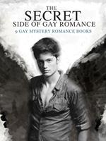 The Secret Side of Gay Romance: 9 Gay Mystery Romance eBooks in einem Band!