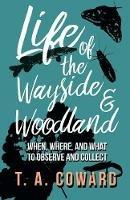 Life of the Wayside and Woodland: When, Where, and What to Observe and Collect