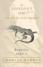 Reptiles - Part V - The Zoology of the Voyage of H.M.S Beagle; Under the Command of Captain Fitzroy - During the Years 1832 to 1836