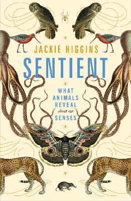 Sentient: What Animals Reveal About Our Senses - Jackie Higgins - cover