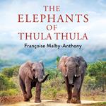 The Elephants of Thula Thula