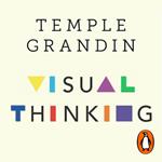 Visual Thinking