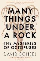 Many Things Under a Rock: The Mysteries of Octopuses