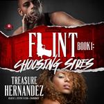 Flint, Book 1