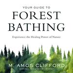 Your Guide to Forest Bathing