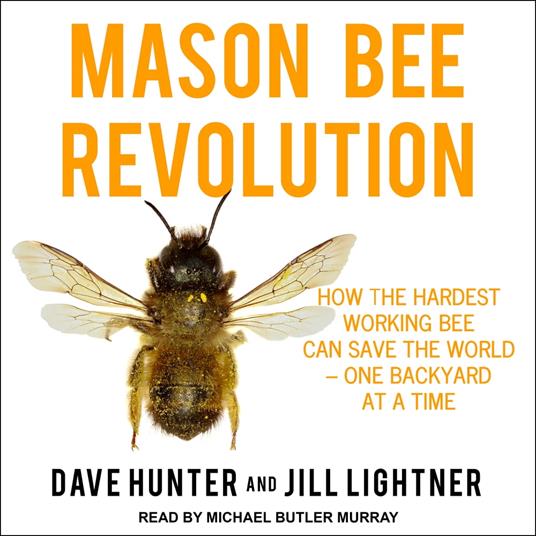 Mason Bee Revolution