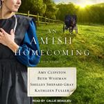 An Amish Homecoming