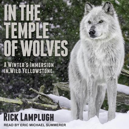 In the Temple of Wolves