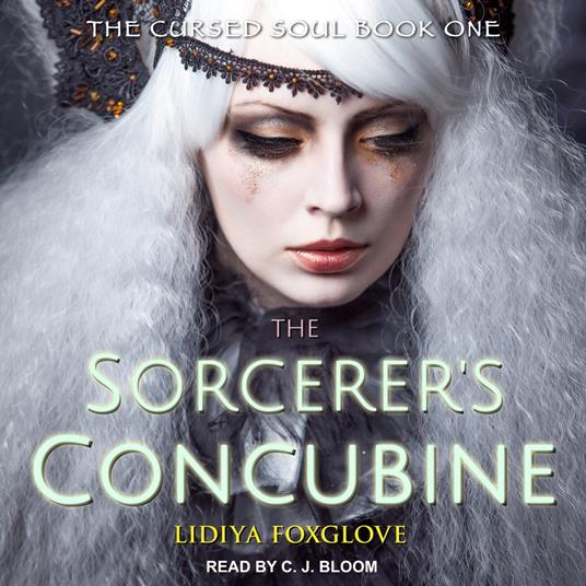 The Sorcerer's Concubine