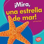 ¡Mira, una estrella de mar! (Look, a Starfish!)