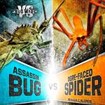 Assassin Bug vs. Ogre-Faced Spider